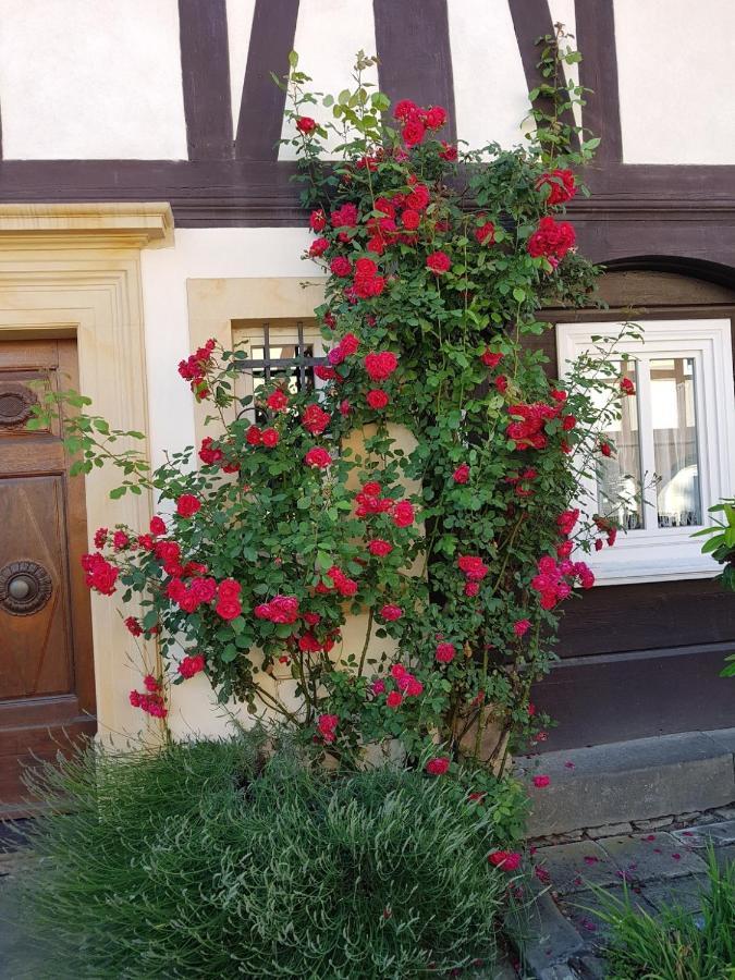 Ferienwohnung Fewo Niedere Muehlwiese Großschönau Exterior foto